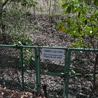 やっぱり封鎖😭