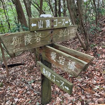 滝の沢コースへ