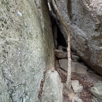 ここから出てきます。