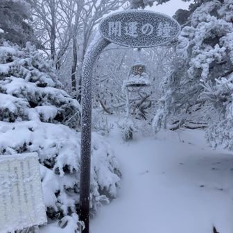 凍りついとるー
鳴らそうとしても鳴らない開運の鐘
