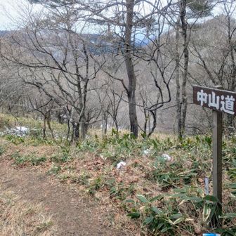 え、こっち雪ぜんぜんねえじゃん