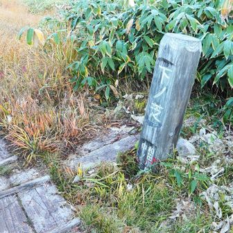 下ノ芝