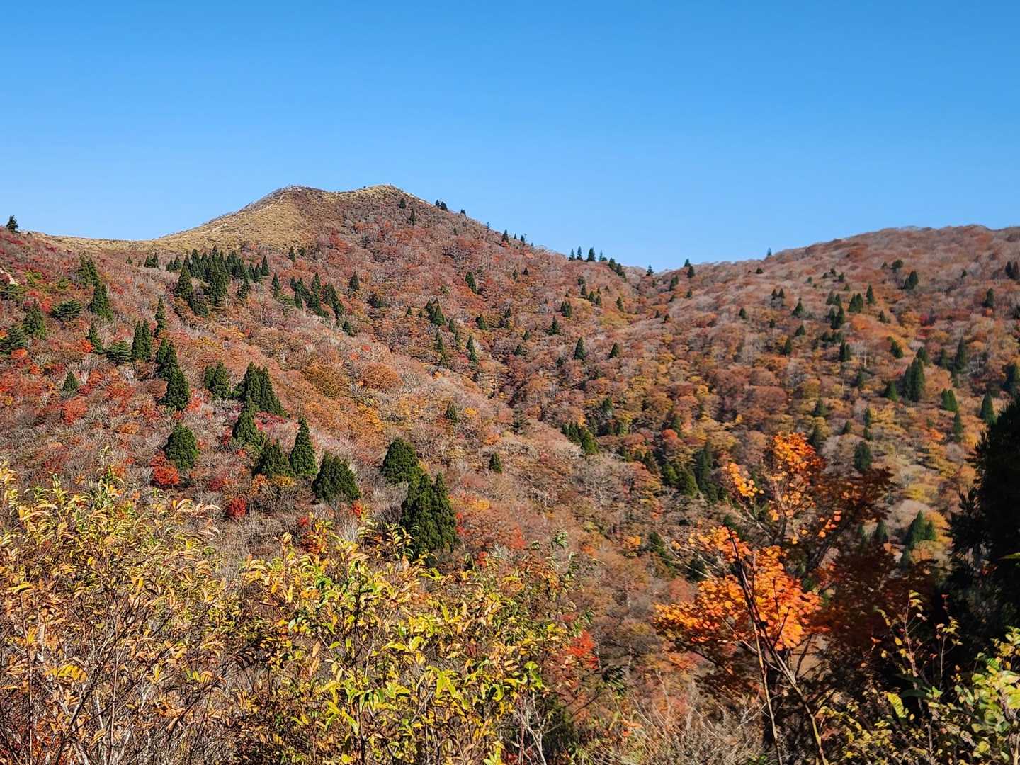 坊村バス停-坊村登山口-御殿山-ワサビ峠-武奈ヶ岳-北比良 縦走コースの写真