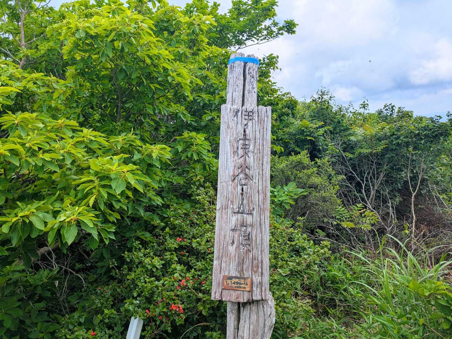 「伊良谷山頂」へ