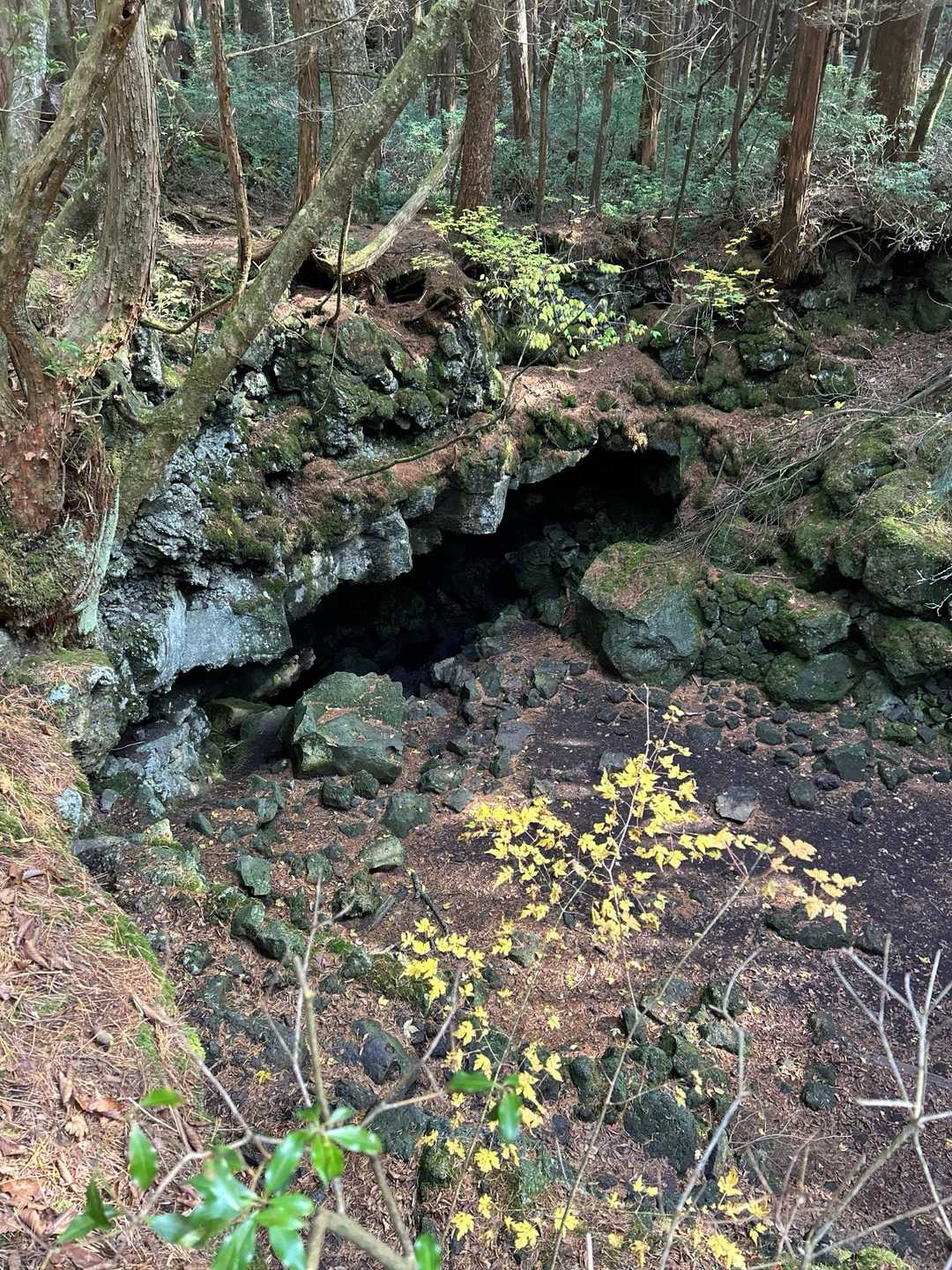許可が無いと入れません！