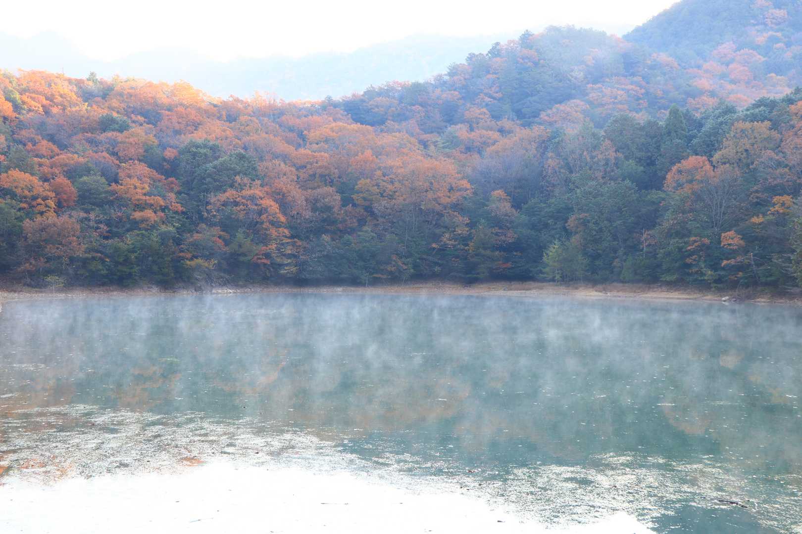 ため池の横を通る。
湯気（蒸気霧）が立っている。冬ですね😊