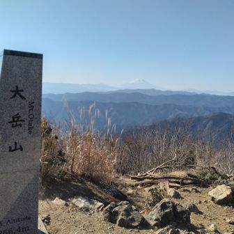 登頂。筑波山の女体山手前並みに中々急でした・・