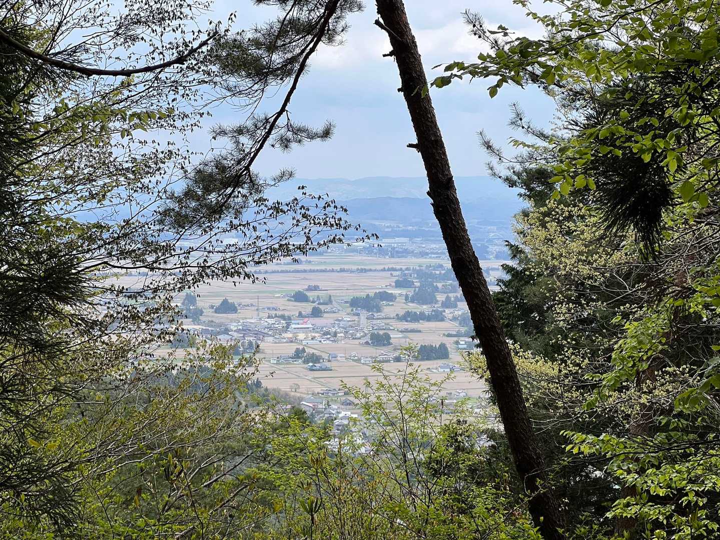 台羽山 往復コースの写真