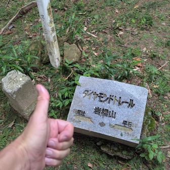標高差あったので身構えてたけど、割と登りやすいお山だった