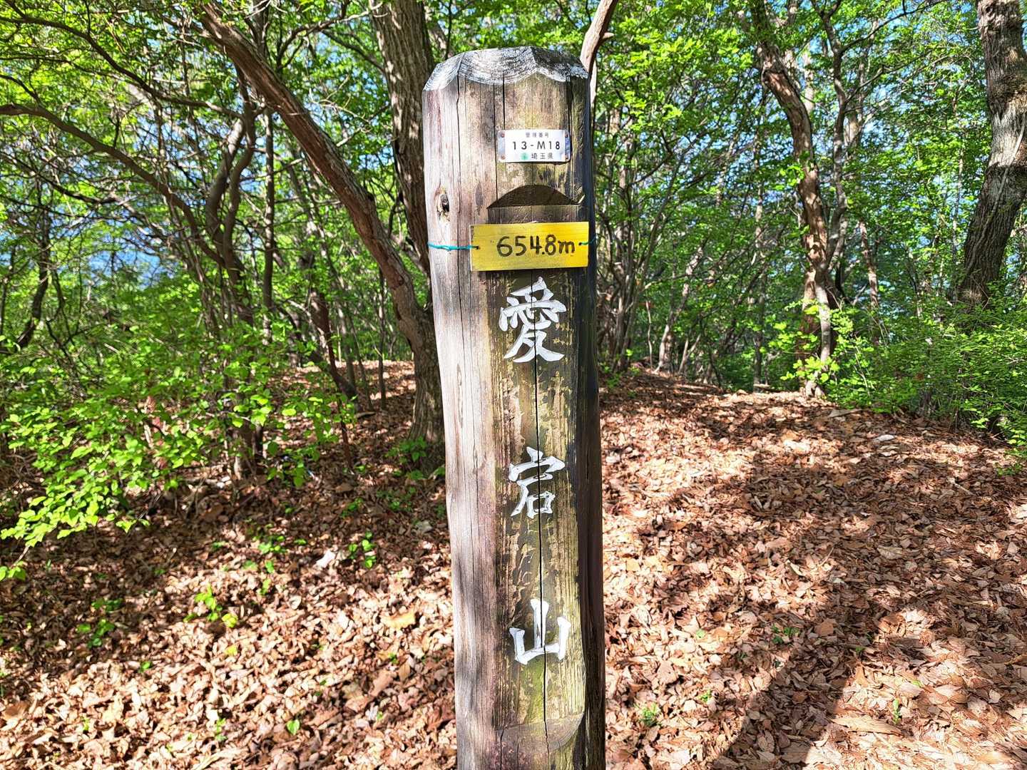 見とれているうちに、愛宕山