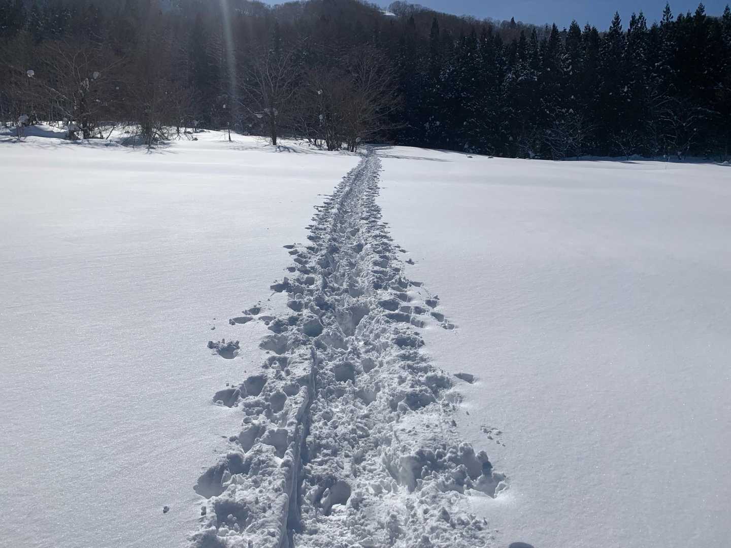 綺麗なトレースだけど、だけど、
ツボ足の人がいて高速道路は穴だらけ🧐
歩きにくいったらありゃしない😫