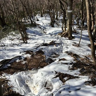 頂上付近は事前情報通り雪が積もってました。