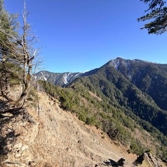 いやぁ、悔しい😹