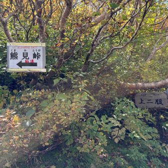 上二股からは新道を行きます。
