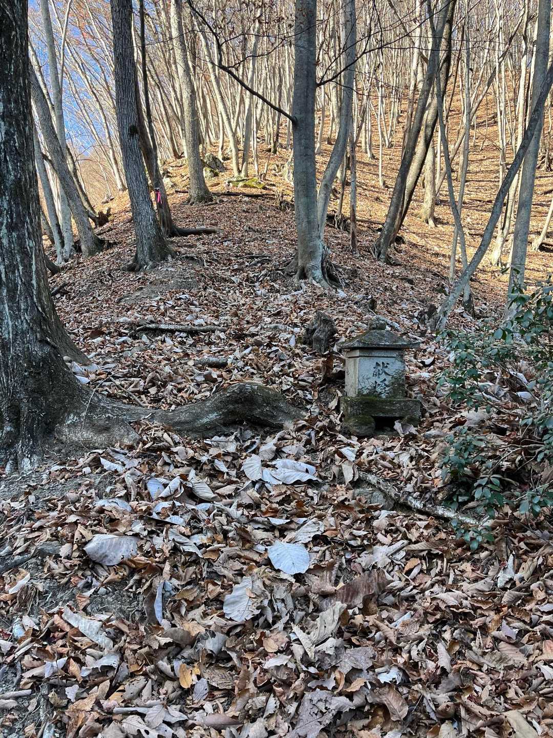 諏訪山楢原登山口-大江権現堂-ヤツウチグラ-諏訪山 往復コースの写真