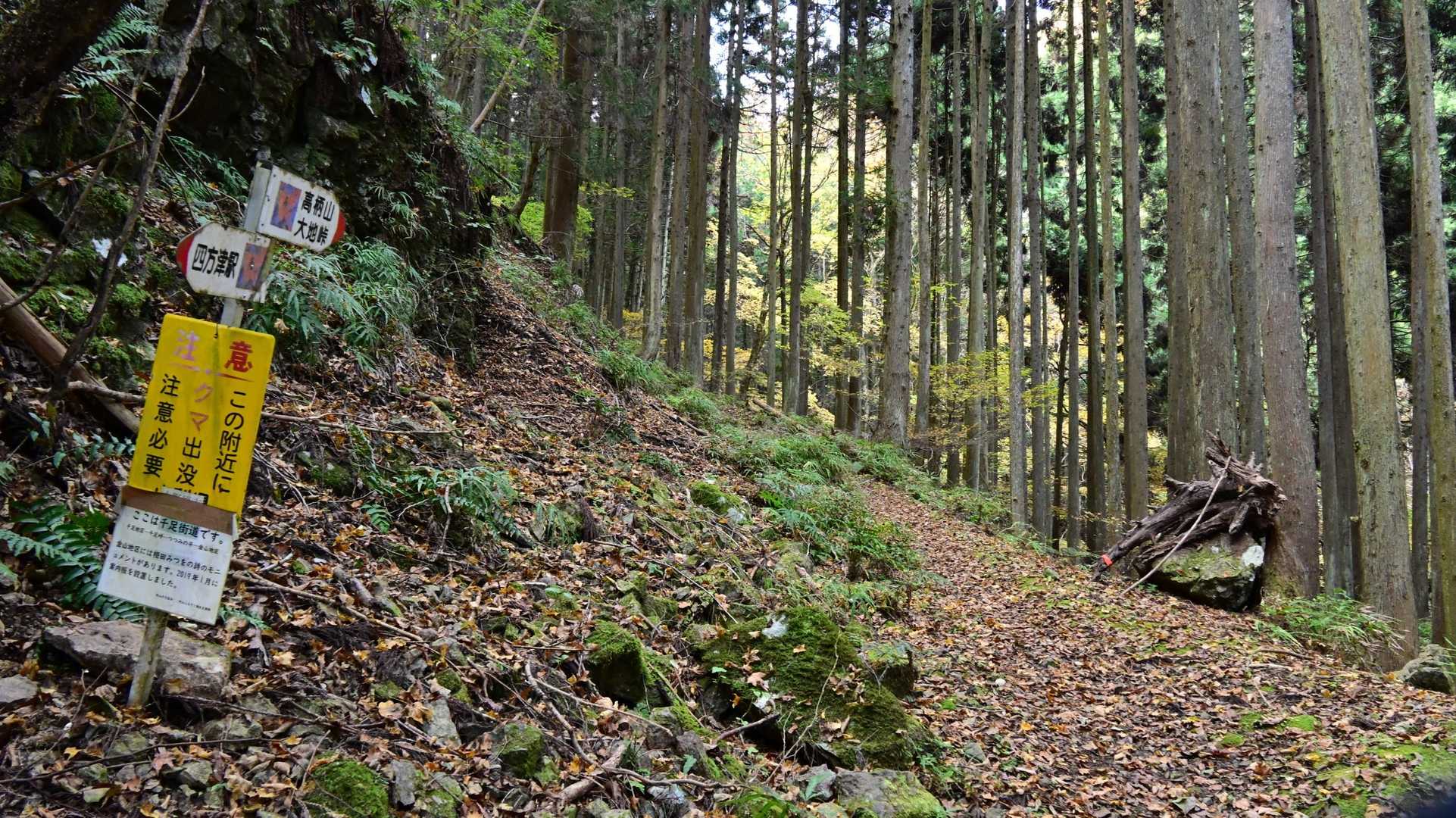 登山口