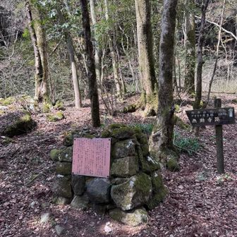 行きがけは、団体様で写真撮れず
無動寺跡