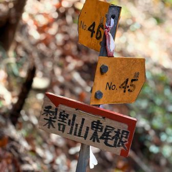 こっちだと思って進むもルート外れの警告が☝🏻
ここからも行けますが夜勤前なので短いルートにする為戻ります
