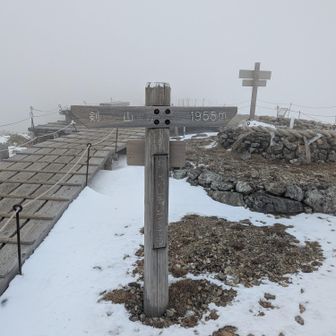 大将、剣山
トレースあったので楽でした