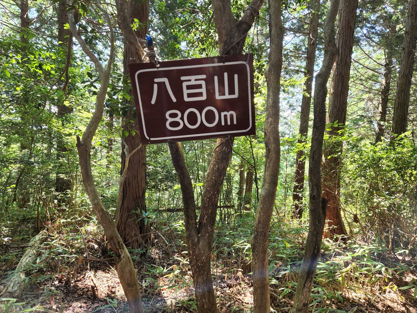 標高が山名になってます