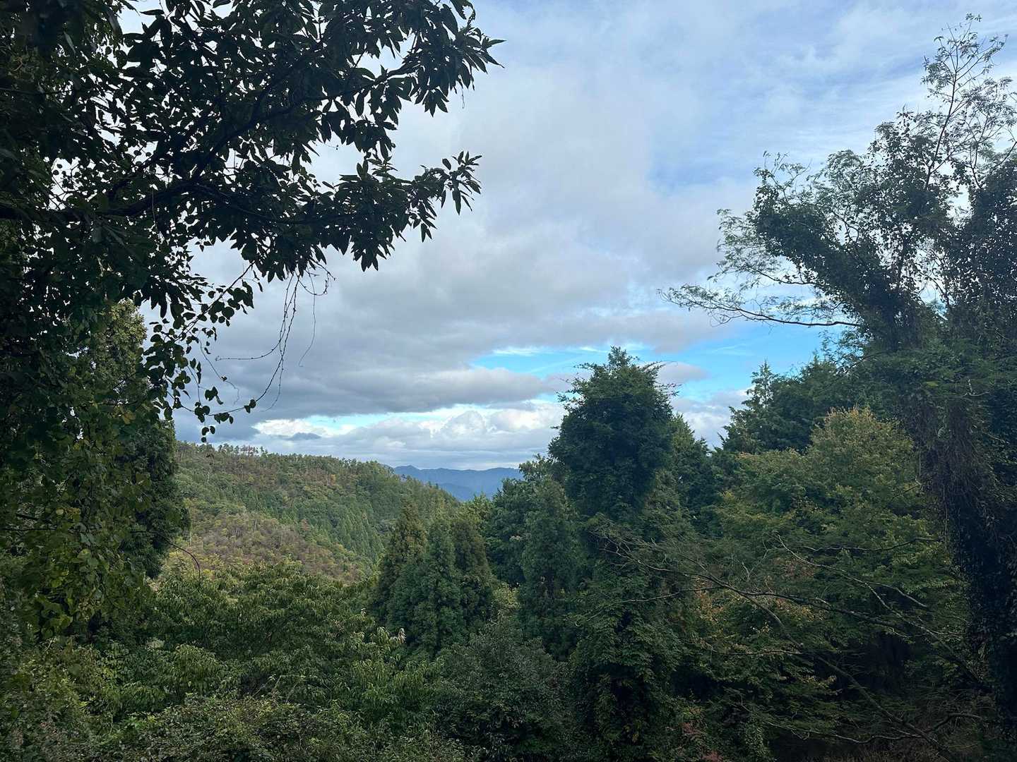 ポイント-京見峠-釈迦谷山-鷹峯源光庵前バス停 縦走コースの写真