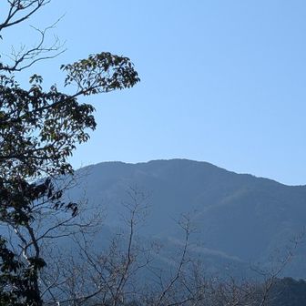 岩橋山です✨