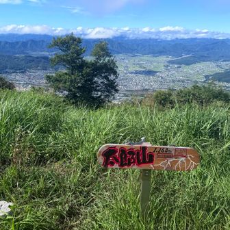 太郎山山頂からの上田盆地の眺め