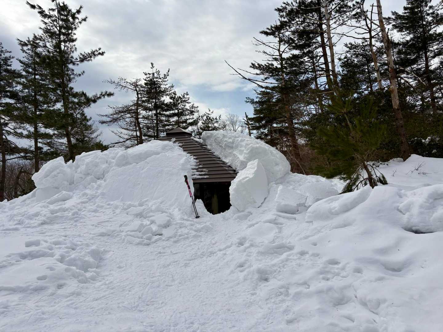 武奈の木平にとうちゃこ。雪で埋まってます。