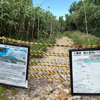 2年前はせっかく下りてきたのに、ここからさらに三段山へ行って酷い目に遭いました💥☄️
今となってはいい思い出です😝