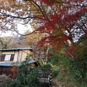住宅の脇を抜けて、六国見山へ