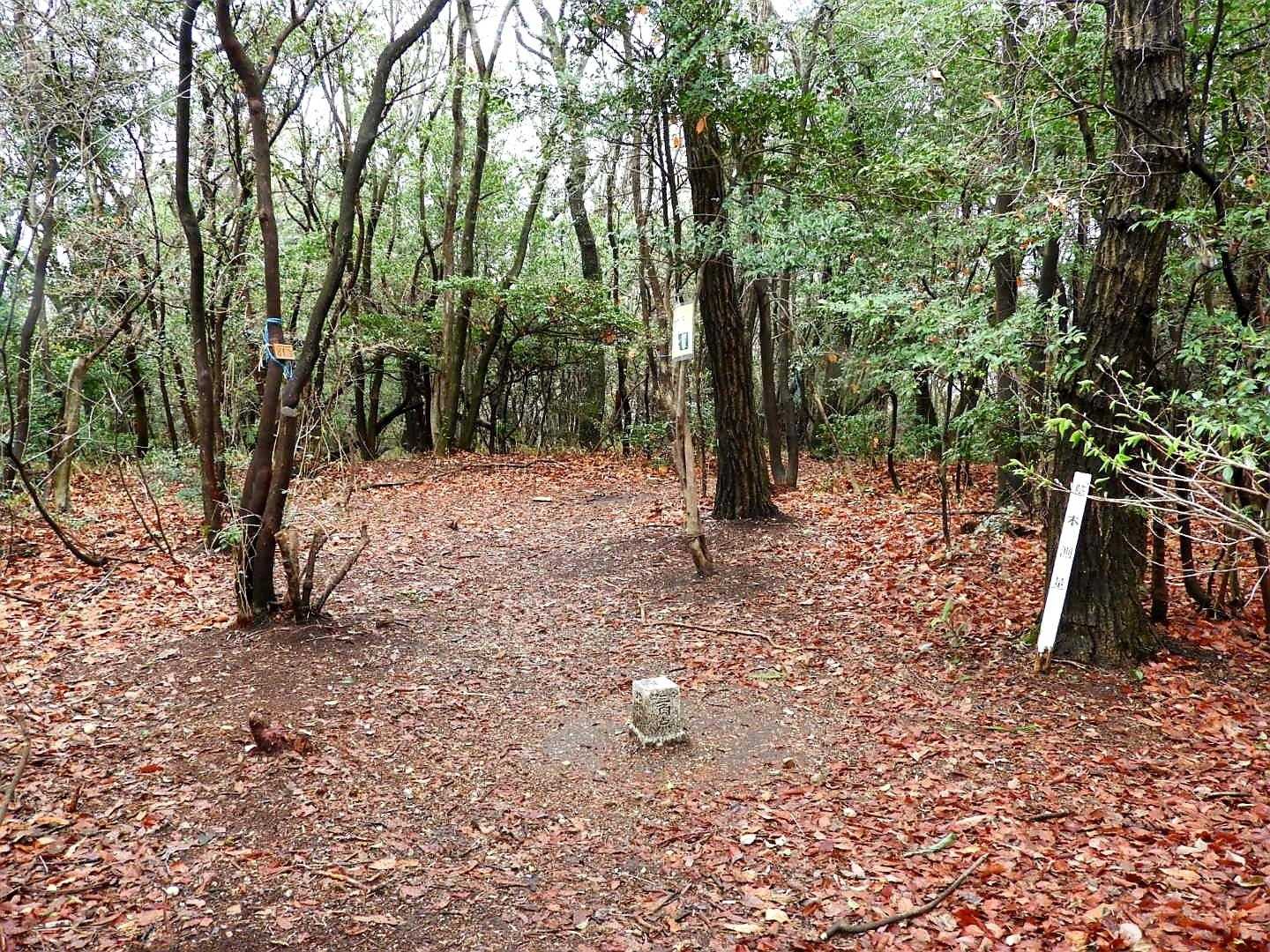 山頂は残念ながら展望がありません😆