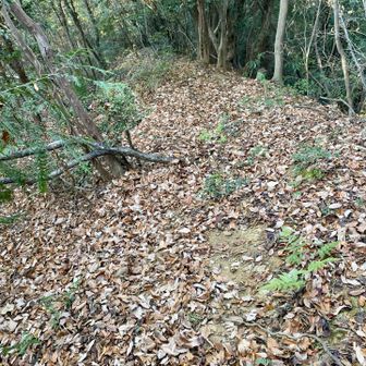 急斜面⚠️ここにも🪢が欲しい…