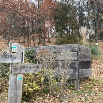 農村環境改善センター前の分岐