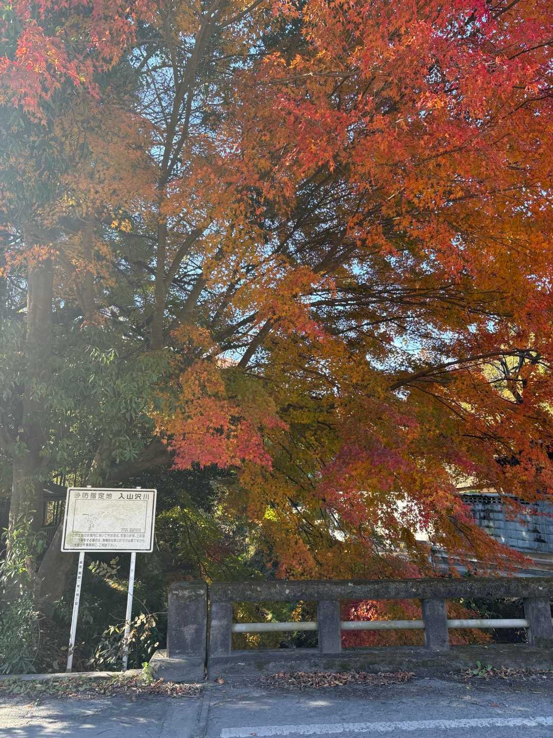 下小川駅-熊野山-熊野山登山口 周回コースの写真