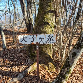 天子ヶ岳山頂🙌
山頂は眺望なし