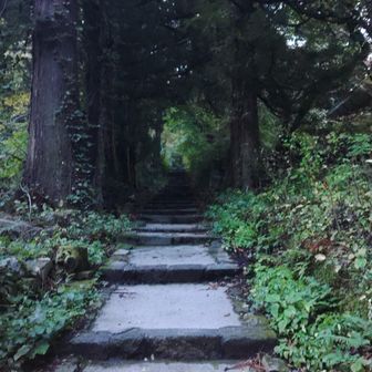夏山登山道からスタート
下山は行者谷コースの予定です