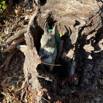 ピーターラビットまでいる🐇