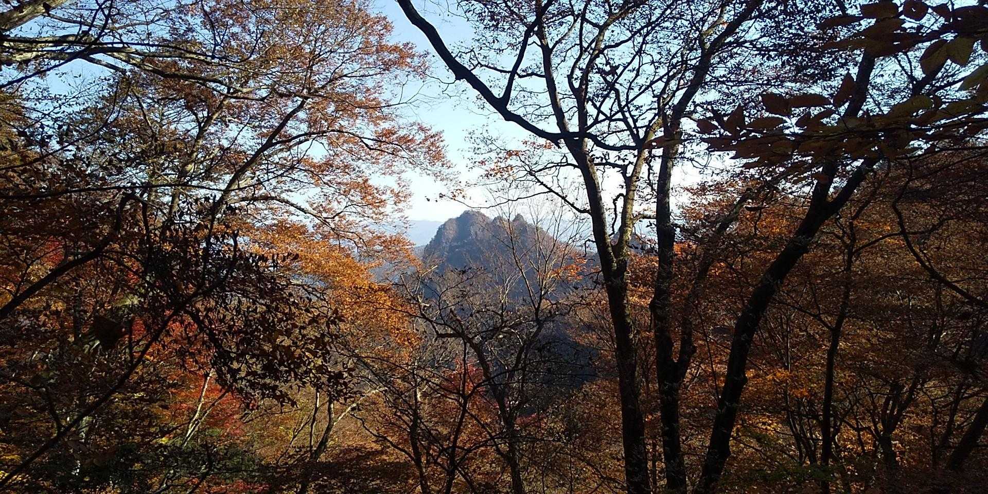 合い向かいの金鶏山