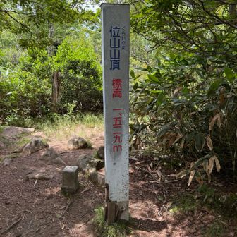 山頂からの展望はない。