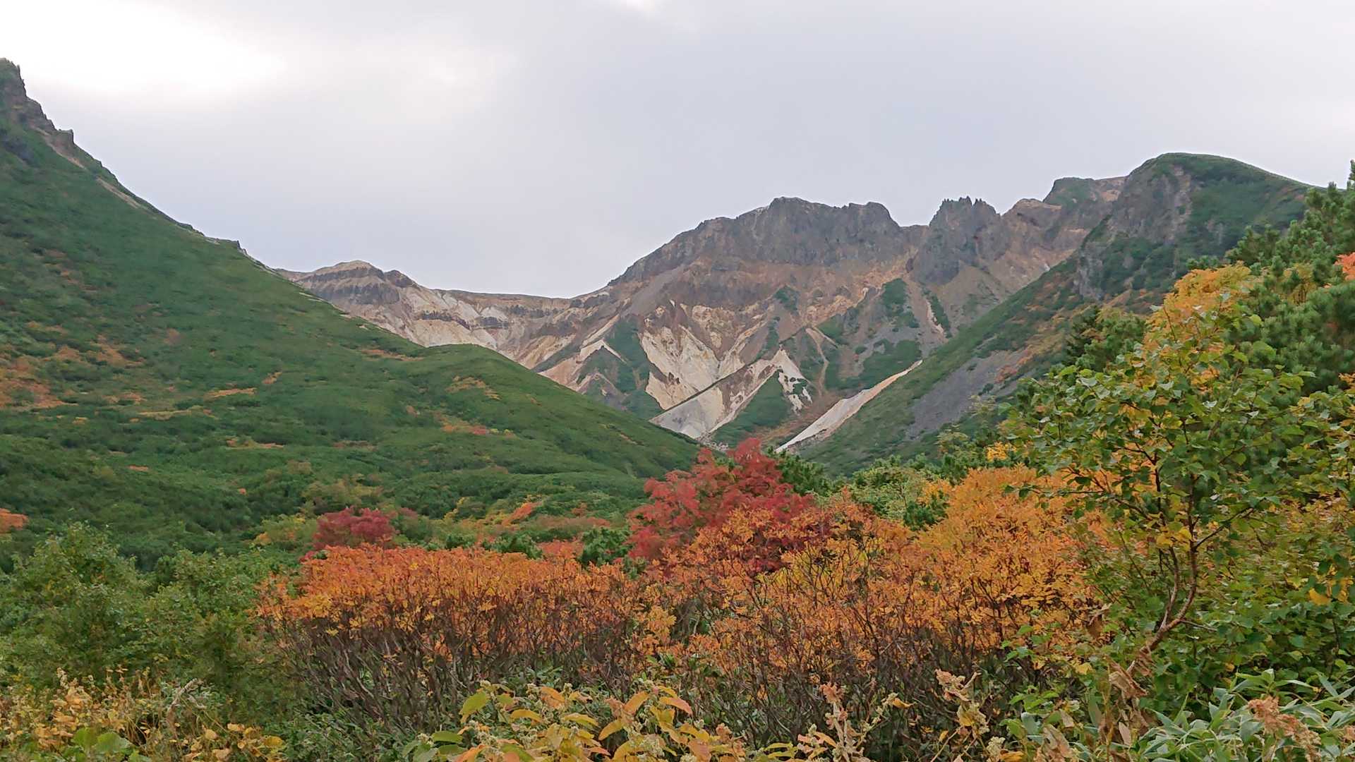 紅葉始まってる