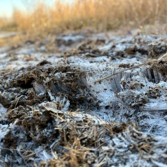 霜柱たっぷり🦶
踏みたくなる不思議😁