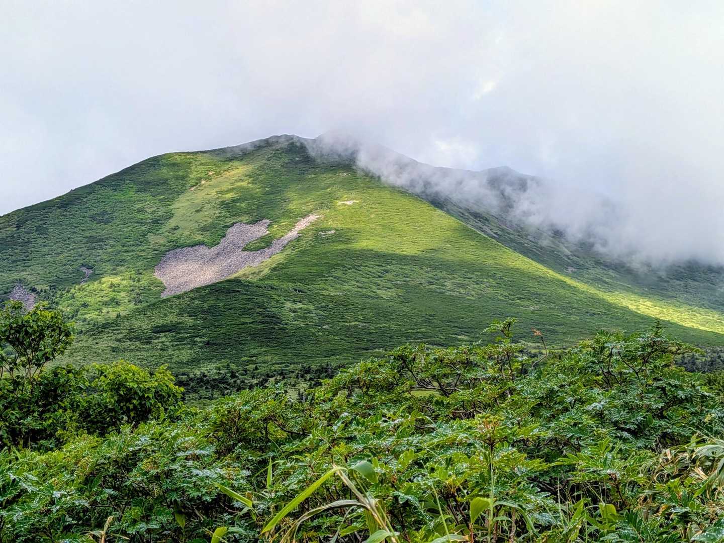 原始ヶ原登山口-富良野岳 往復コースの写真