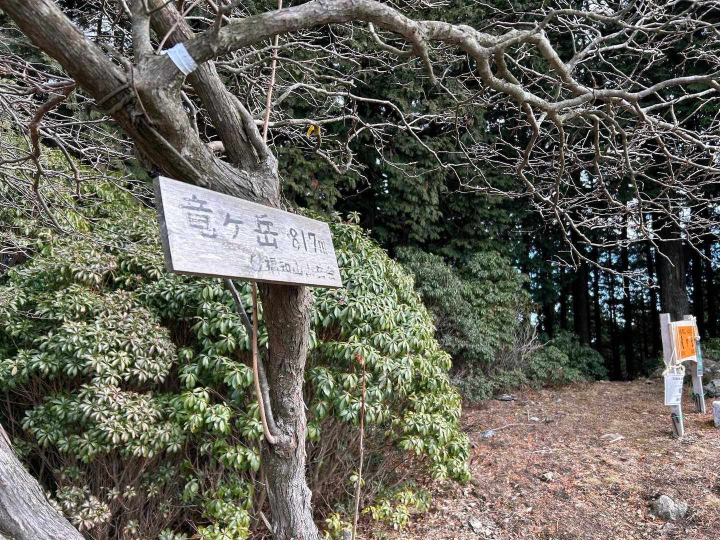 大井戸山-竜ヶ岳 縦走コースの写真