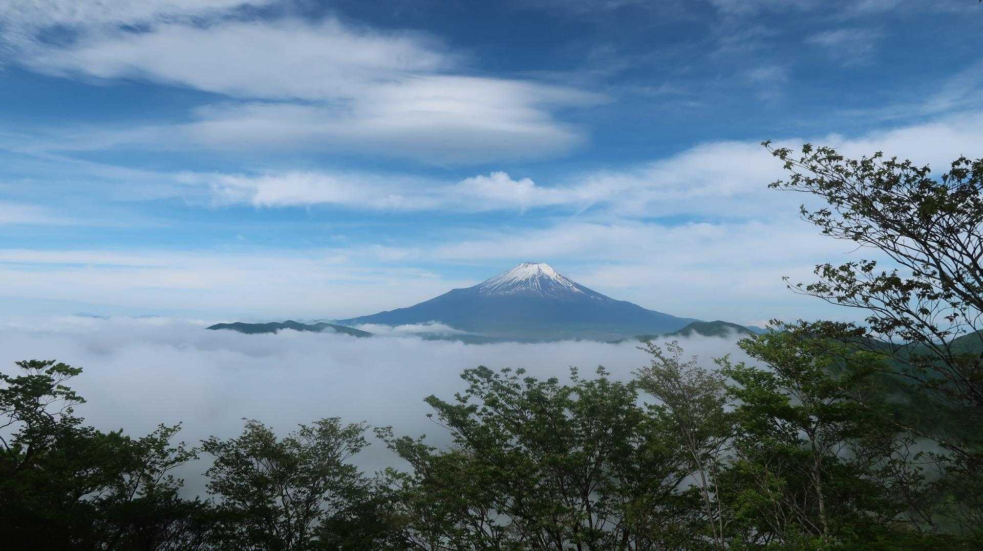 待望の菰釣山。ここも西側が富士山の大展望
雲海がいい味出してたよ。