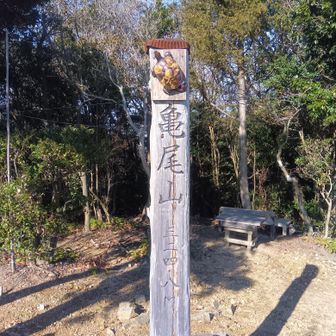 亀尾山山頂②回目〜下山
貸切で余韻に浸る
実はサングラスを途中で落していて運良く回収😊😎