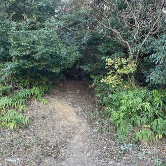 この穴が入り口