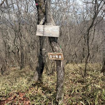 こんな感じで…