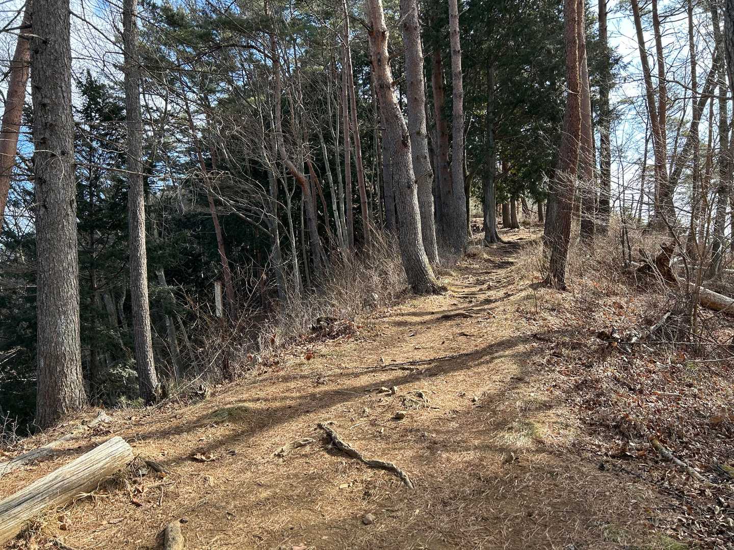 気持ちの良い縦走路