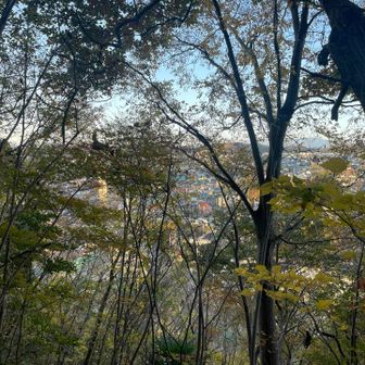 すぐ脇には道路。
登っていくと少しずつ道路の喧騒が小さくなっていきました。