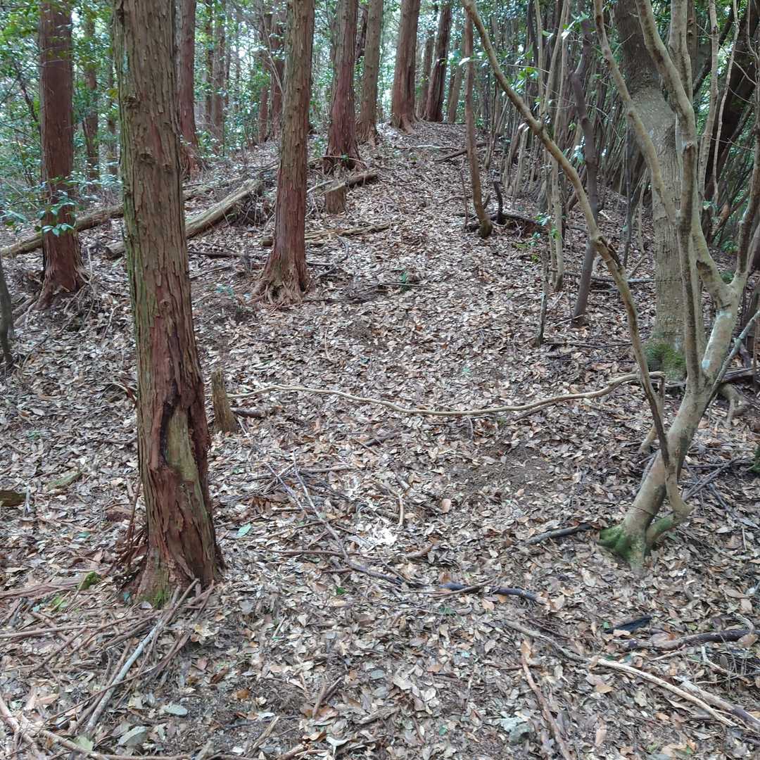 さっさと次に向かいましょう😅